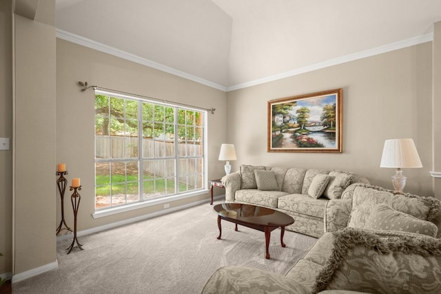 6109 Pebble Garden Ct, Austin, TX 78739 - carpeted living room featuring high vaulted ceiling and baseboards