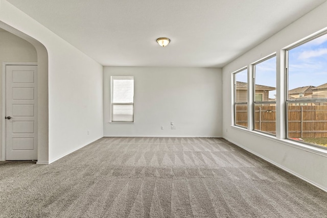 18517 Spotted Eagle Ln, Elgin, TX 78621 - spare room with carpet and arched walkways