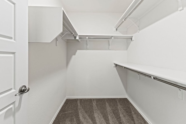 18517 Spotted Eagle Ln, Elgin, TX 78621 - spacious closet featuring carpet flooring