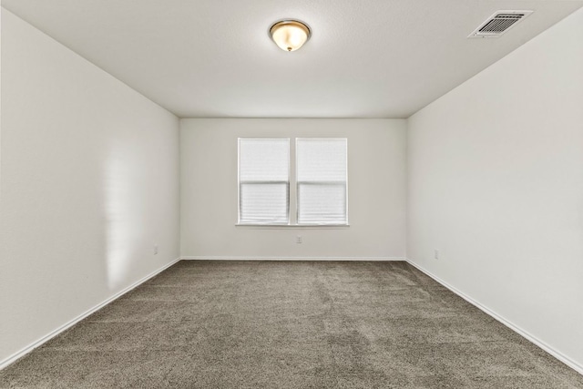18517 Spotted Eagle Ln, Elgin, TX 78621 - unfurnished room with carpet flooring