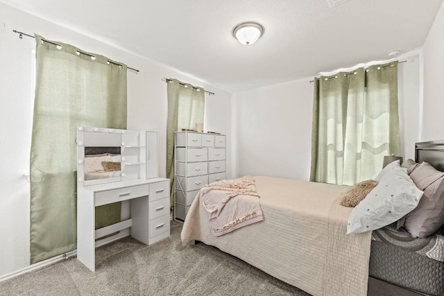 18517 Spotted Eagle Ln, Elgin, TX 78621 - view of carpeted bedroom