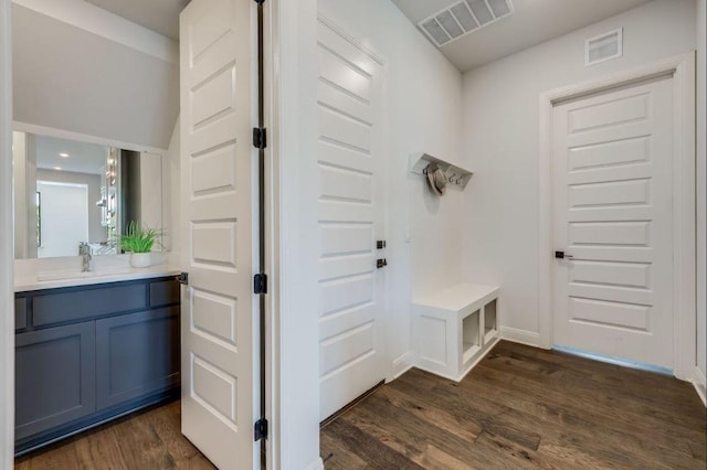 6833 Destination Way, Lago Vista, TX 78645 - mudroom featuring dark wood-style floors