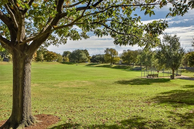 14710 Montoro Dr, Austin, TX 78728 - view of property's community featuring a lawn
