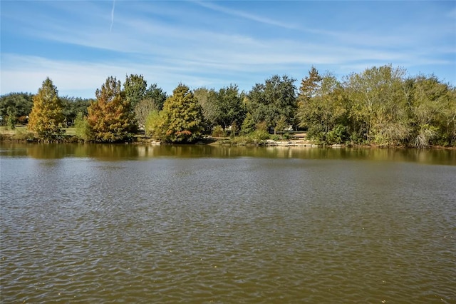 14710 Montoro Dr, Austin, TX 78728 - water view