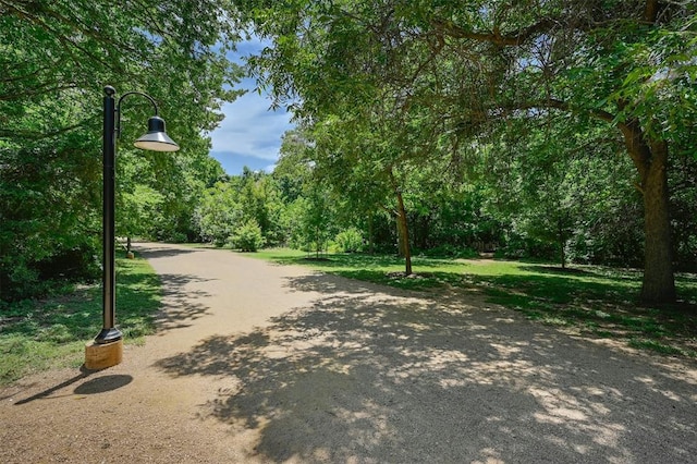 14710 Montoro Dr, Austin, TX 78728 - view of community with a view of trees