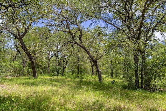 7502 Wells Trce, Manor, TX 78653