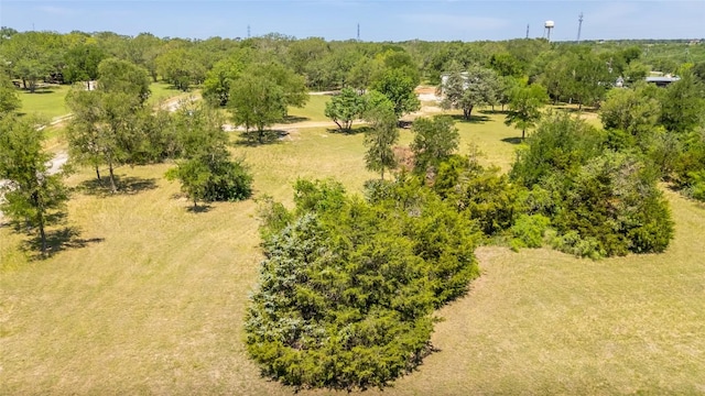 7502 Wells Trce, Manor, TX 78653 - photo 11