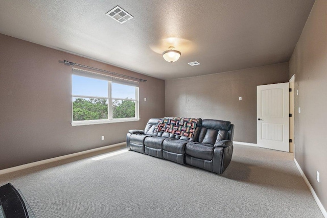 224 Horseback Holw, Austin, TX 78732 - photo 20