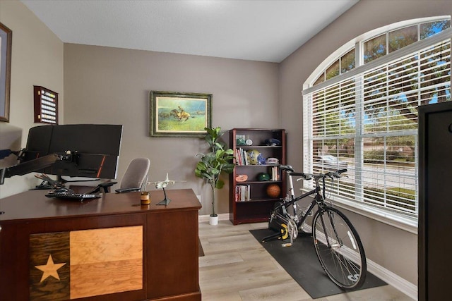 19420 Brue St, Pflugerville, TX 78660 - home office featuring light wood-style flooring and baseboards