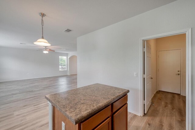 9104 China Rose Dr, Austin, TX 78724 - kitchen featuring ceiling fan, light wood finished floors, pendant lighting, arched walkways, and a center island