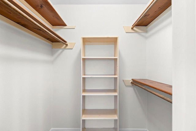 302 Council Rd, Georgetown, TX 78633 - view of walk in closet