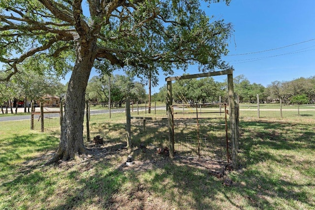 302 Council Rd, Georgetown, TX 78633 - view of yard