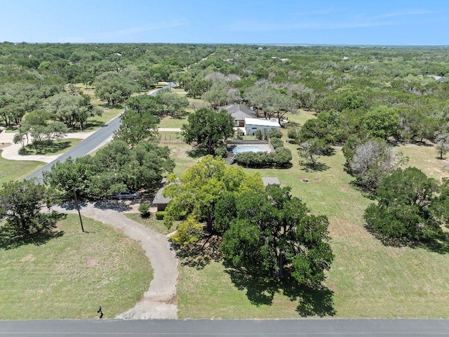 302 Council Rd, Georgetown, TX 78633 - aerial view of a forest