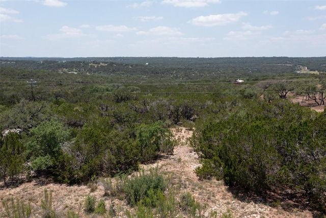 0 Hill View Trl, Dripping Springs, TX 78620