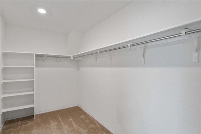 14302 Honey Gem Dr, Pflugerville, TX 78660 - walk in closet featuring carpet