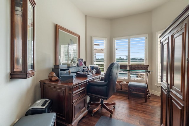 20503 Hoover Cv, Lago Vista, TX 78645 - office area featuring dark wood-style flooring