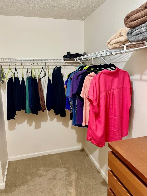 4107 Columbine Dr, Austin, TX 78727 - spacious closet with carpet floors