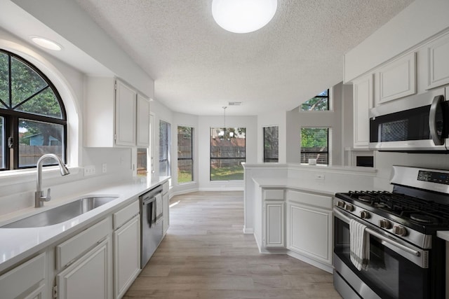 8407 Mount Shasta Cv, Round Rock, TX 78681 - kitchen featuring appliances with stainless steel finishes, a sink, a chandelier, a textured ceiling, and healthy amount of natural light