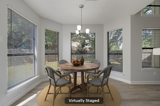 8407 Mount Shasta Cv, Round Rock, TX 78681 - dining space with wood finished floors, a chandelier, baseboards, and a textured ceiling