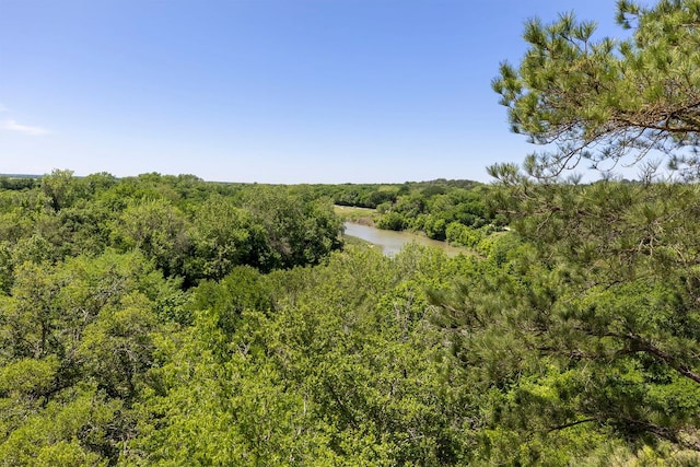 334 Nene Ln, Bastrop, TX 78602