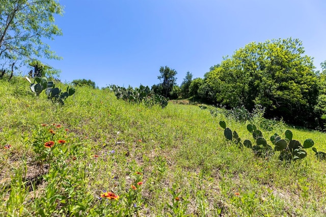 334 Nene Ln, Bastrop, TX 78602