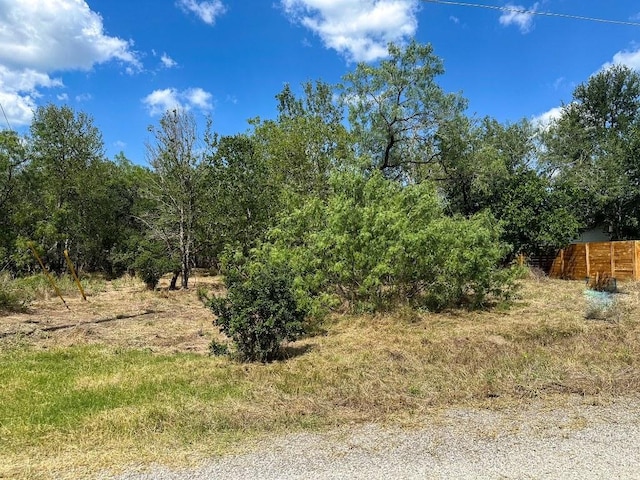 334 Nene Ln, Bastrop, TX 78602