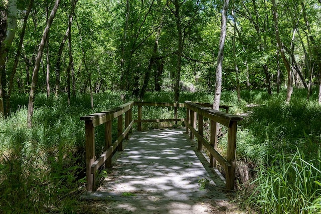 334 Nene Ln, Bastrop, TX 78602
