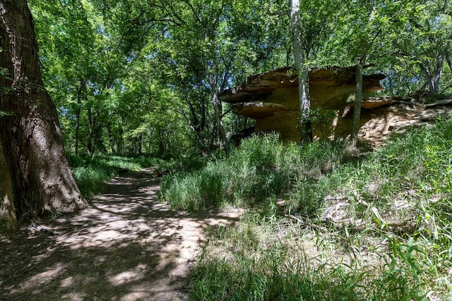 334 Nene Ln, Bastrop, TX 78602