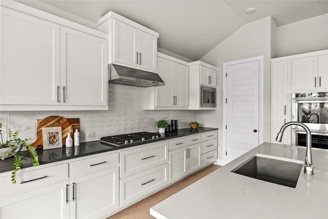 286 Canal Dr, Dripping Springs, TX 78620 - kitchen featuring under cabinet range hood, a sink, appliances with stainless steel finishes, vaulted ceiling, and white cabinets