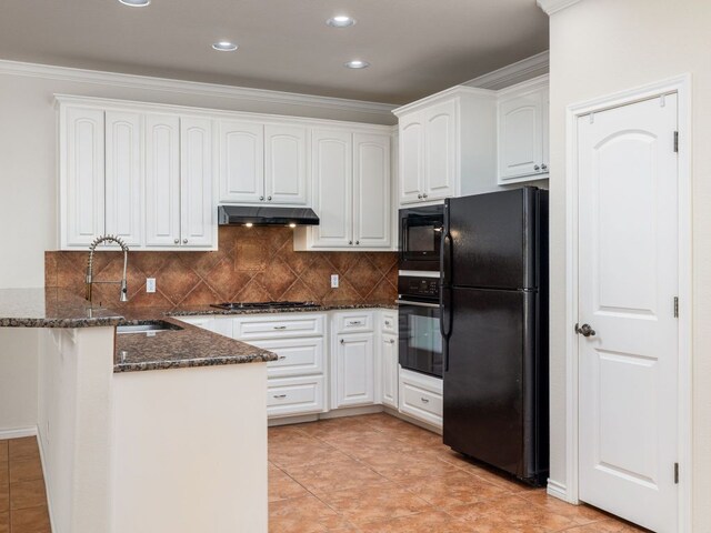 4914 Big Bend Trl, Georgetown, TX 78633 - kitchen featuring black appliances, a sink, under cabinet range hood, a peninsula, and dark stone countertops