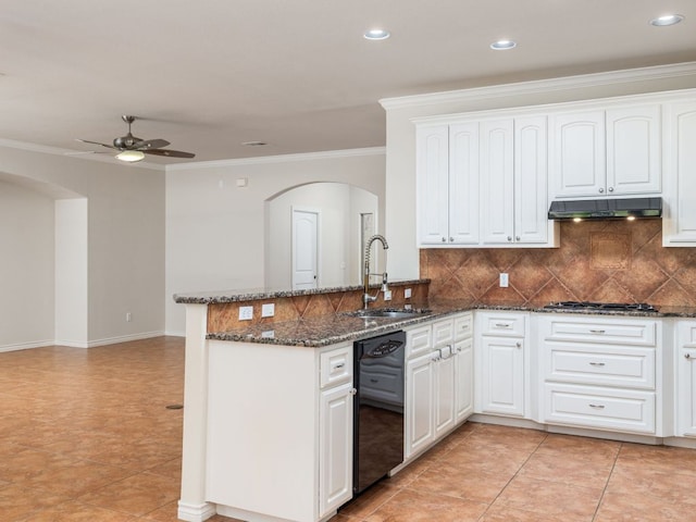 4914 Big Bend Trl, Georgetown, TX 78633 - kitchen with arched walkways, under cabinet range hood, black dishwasher, a sink, and ceiling fan