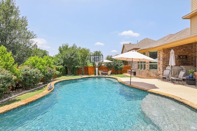 2513 Rusty Spur, Leander, TX 78641 - view of swimming pool featuring a patio and a fenced backyard