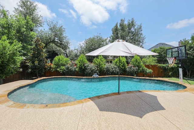 2513 Rusty Spur, Leander, TX 78641 - view of pool featuring a fenced backyard and a patio area