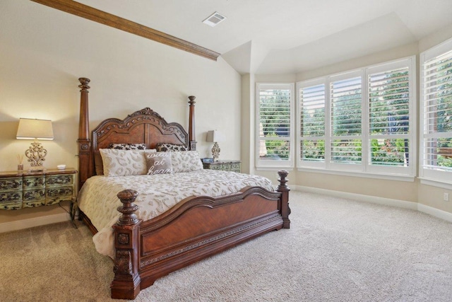 2513 Rusty Spur, Leander, TX 78641 - carpeted bedroom featuring multiple windows and baseboards