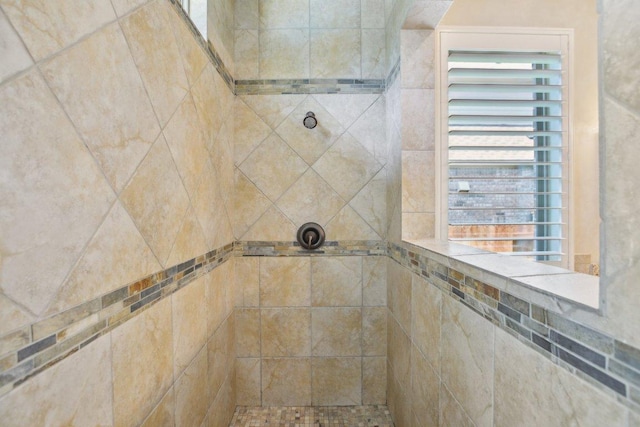 2513 Rusty Spur, Leander, TX 78641 - bathroom view of tiled shower