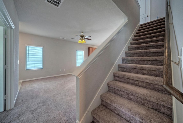211 S Timber Brook Dr, Hutto, TX 78634 - staircase featuring plenty of natural light, carpet flooring, and a ceiling fan