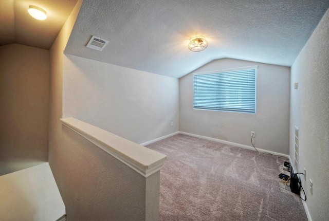 211 S Timber Brook Dr, Hutto, TX 78634 - bonus room featuring vaulted ceiling, carpet, baseboards, and a textured ceiling