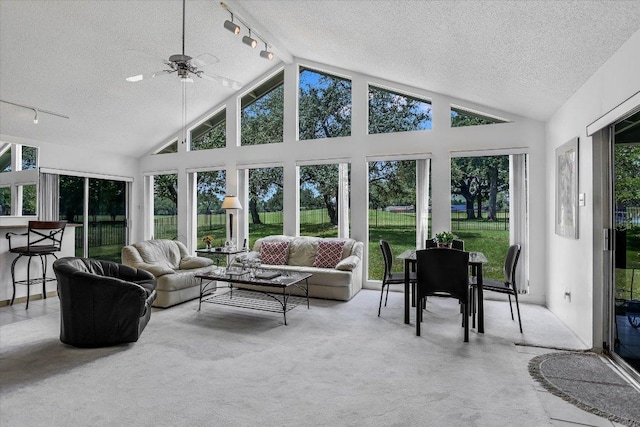 8600 Crest Ridge Cir, Austin, TX 78750 - sunroom featuring a textured ceiling, rail lighting, lofted ceiling, and carpet flooring
