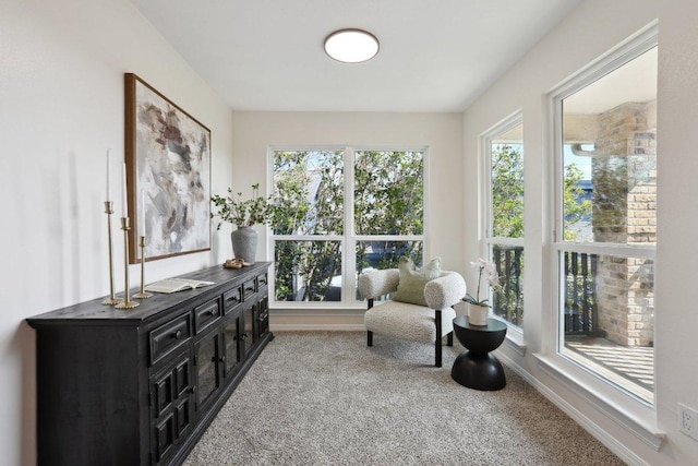 6029 Mount Bonnell Cv, Austin, TX 78731 - photo 16