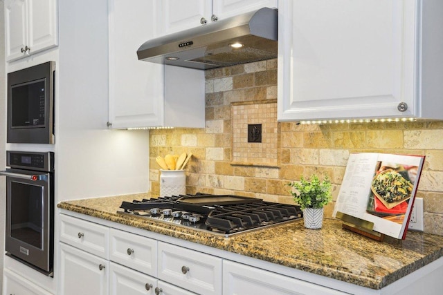 1252 Fall Creek Loop, Cedar Park, TX 78613 - kitchen with stainless steel appliances, under cabinet range hood, white cabinets, and backsplash
