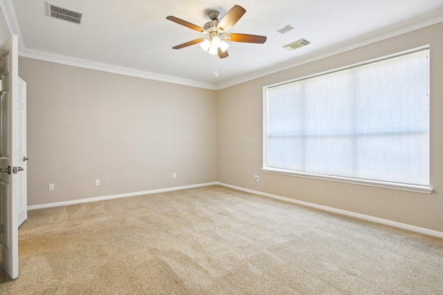 1252 Fall Creek Loop, Cedar Park, TX 78613 - spare room with ceiling fan, light colored carpet, ornamental molding, and baseboards