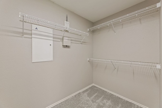 1129 Wigwam Dr, Leander, TX 78641 - walk in closet featuring carpet floors