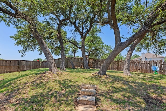 1129 Wigwam Dr, Leander, TX 78641 - view of fenced backyard