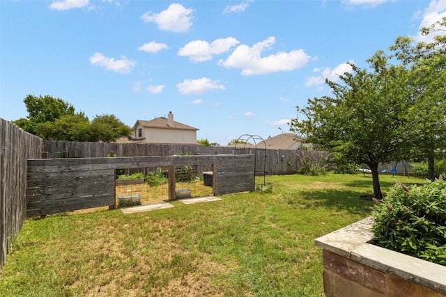 320 Ranier Ln, Round Rock, TX 78665 - view of yard