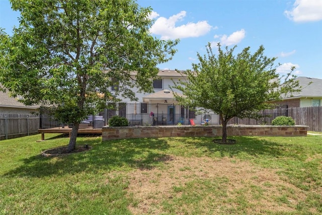 320 Ranier Ln, Round Rock, TX 78665 - view of yard