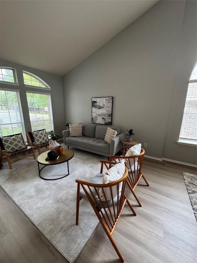 10301 Beard Ave, Austin, TX 78748 - living area featuring light wood finished floors, high vaulted ceiling, and baseboards