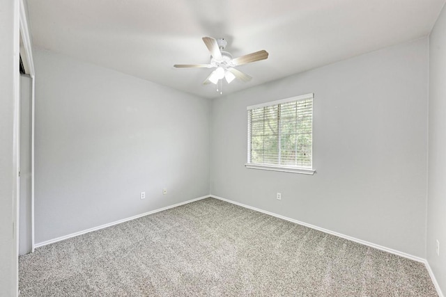 10301 Beard Ave, Austin, TX 78748 - photo 34