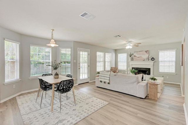10301 Beard Ave, Austin, TX 78748 - photo 10