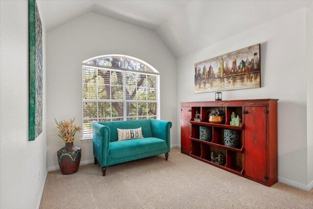 2713 Vaquera Ct, Round Rock, TX 78681 - sitting room with carpet flooring and lofted ceiling
