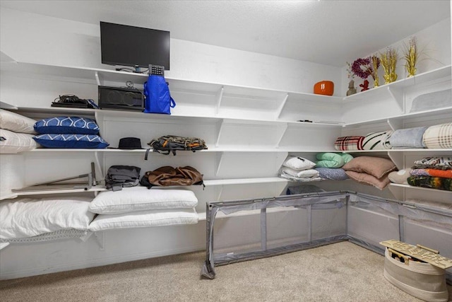2713 Vaquera Ct, Round Rock, TX 78681 - walk in closet with carpet flooring